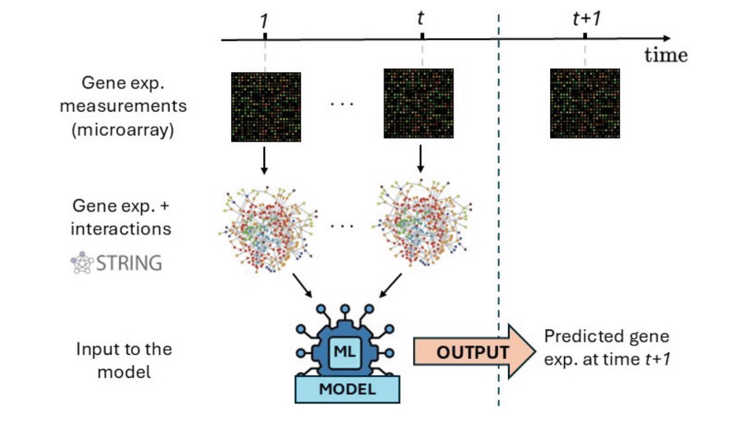 Graphical abstract
